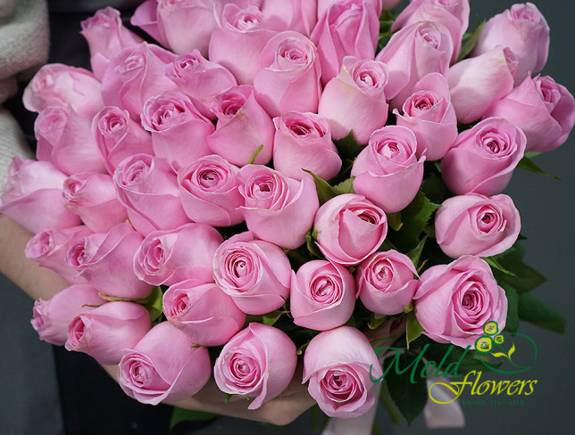 Trandafiri Olandeze roz 40-50 cm foto